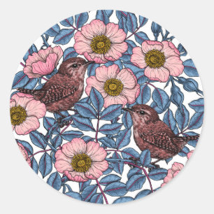 Sticker Rond Wrens en rose