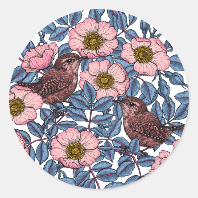 Sticker Rond Wrens en rose (Devant)