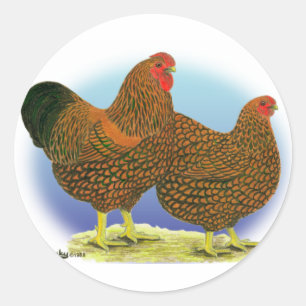 Sticker Rond Wyandotte : Paire dorée