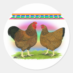Sticker Rond Wyandottes : Arc-en-ciel doré