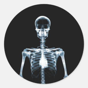 Sticker Rond X-Ray Vision Blue Single Skeleton