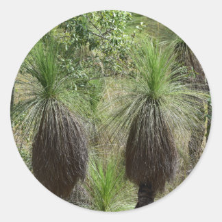 STICKER ROND XANTHORRHOEA GRASS TREE BUSH PLANTE AUSTRALIE