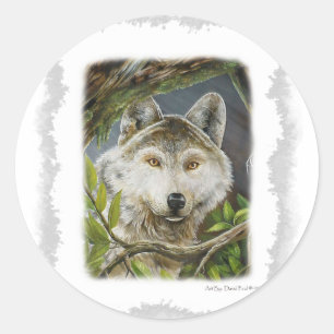Sticker Rond Yeux attentifs