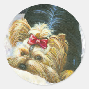 Sticker Rond Yorkie Peek et les chevaliers du livre Yorkshire T