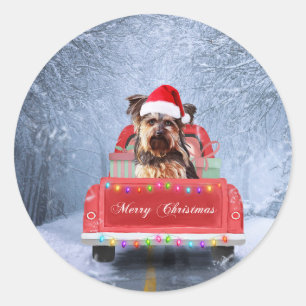 Sticker Rond Yorkshire Terrier Dog Neige assis à Noël