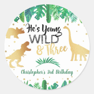 Sticker Rond Young Wild & Three Dinosaur Boys Troisième anniver