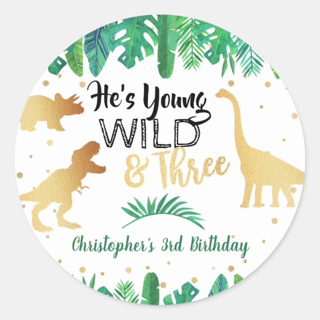 Sticker Rond Young Wild & Three Dinosaur Boys Troisième anniver (Devant)