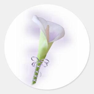 Sticker Rond Zantedeschia pourpre