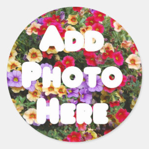 Sticker Rond Zazzle Modèle Conception Ma propre photo Présente