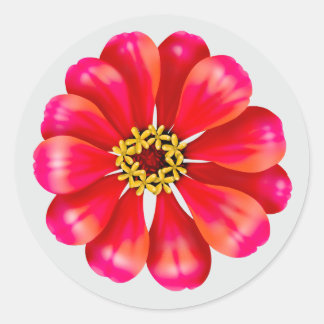 Sticker Rond Zinnia rose