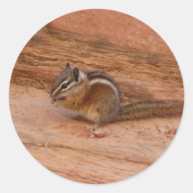 Sticker Rond Zion Chipmunk sur Red Rocks (Devant)
