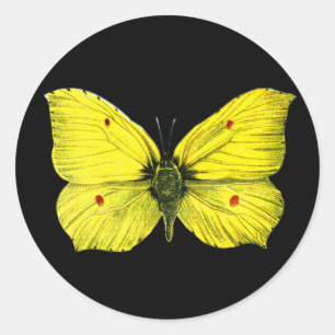 Sticker Rond Zitronenfalter