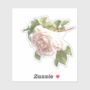 Sticker Rose blanc rose ivoire