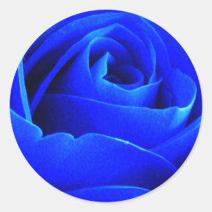 Sticker Rose bleu