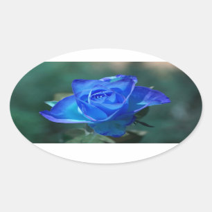 Sticker Rose bleu