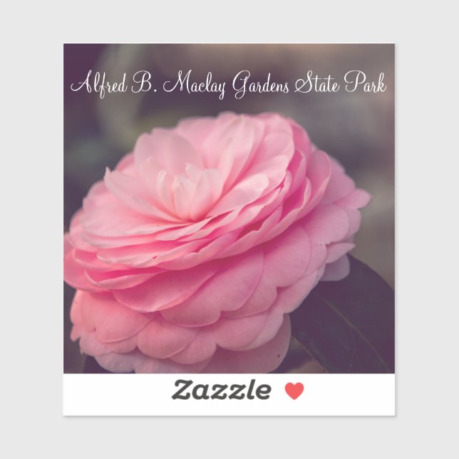 Sticker Rose dans Bloom (Feuille)