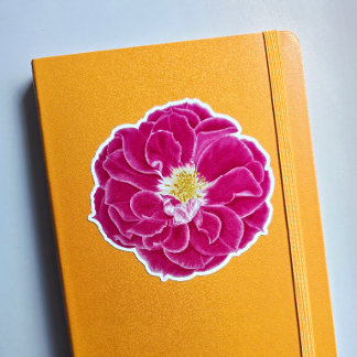 Sticker Rose d'art botanique rose en fleurs