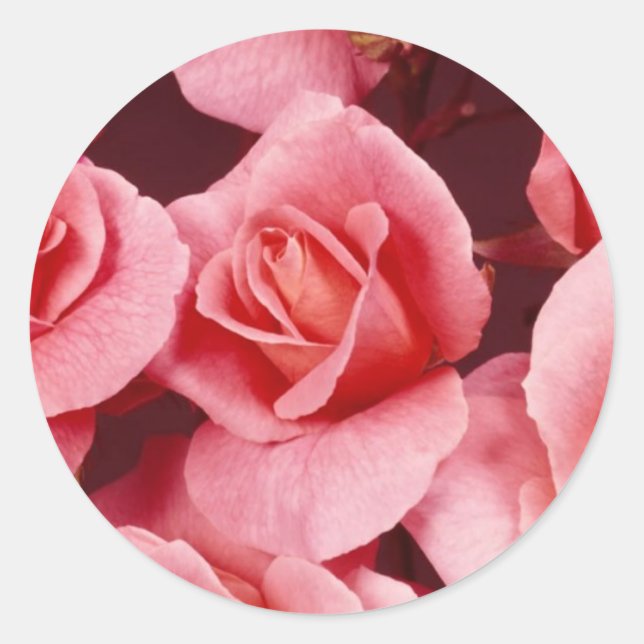 Sticker rose Elegance (Devant)