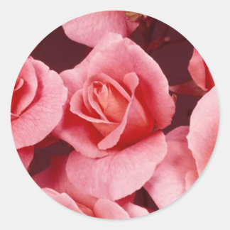 Sticker rose Elegance