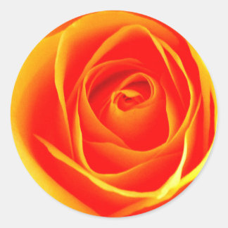 Sticker rose jaune/rouge