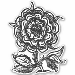 Sticker Rose Renaissance