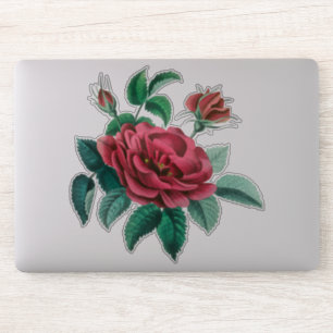 Sticker Rose rouge vintage