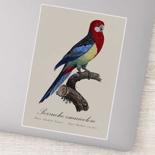 Sticker Rosella orientale ou Perruche à tête pâle Platycer (Eastern rosella or Platycercus eximius parakeet. Sticker)