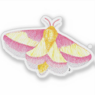 Sticker Rosy Maple Moth