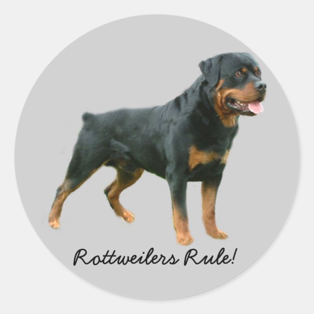 Sticker Rottweiler (Devant)