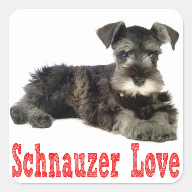 Sticker rouge Schnauzer Chien Chien Miniature Love (Devant)