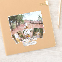 Rustic Love Lilac Mariage Fête des mariées Photos