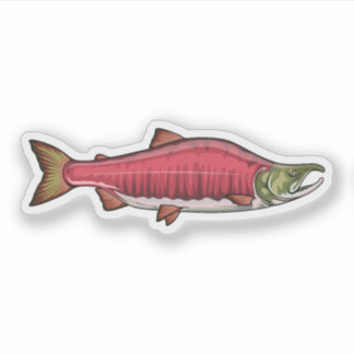 Sticker Saumon Sockeye frai phase 2