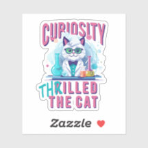 Science du chat : Curiosité Félicité le chat