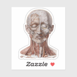 Sticker Science vintage de l'anatomie humaine, nez de gorg