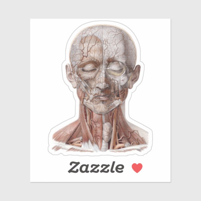 Sticker Science vintage de l'anatomie humaine, nez de gorg (Feuille)