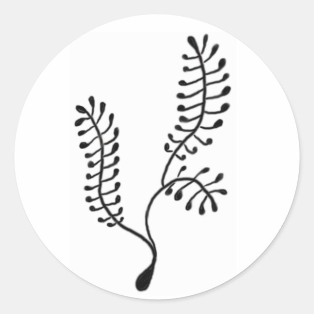 Sticker Sea Fern (Devant)