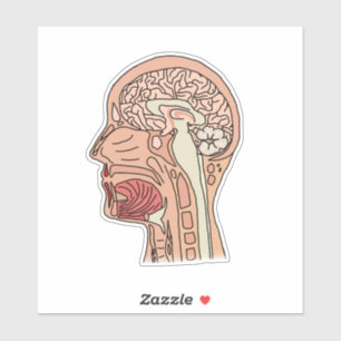 Sticker Section de la Croix du Cerveau Midsagittal