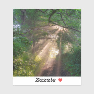 Sticker sentier forestier