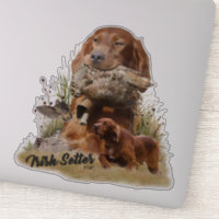 Setter irlandais, Chasse à la bécasse, Art