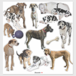 Sticker sheet Great Danes