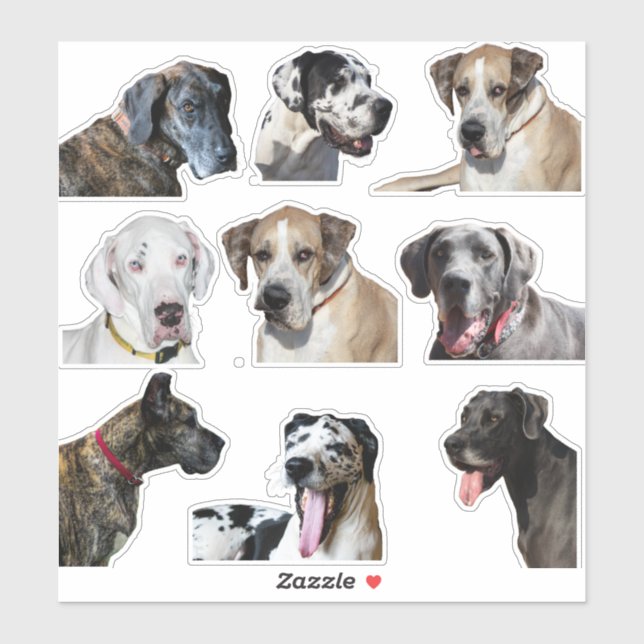Sticker sheet  various Great Dane faces (Sheet)