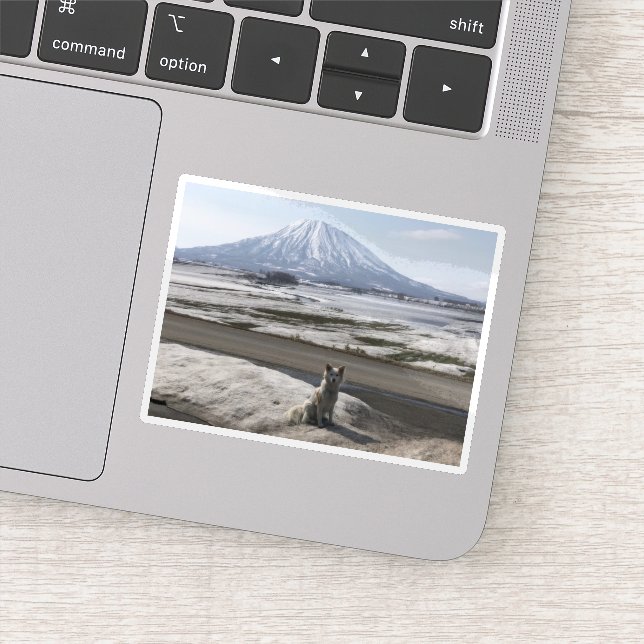 Sticker Shiba Inu (Détail)