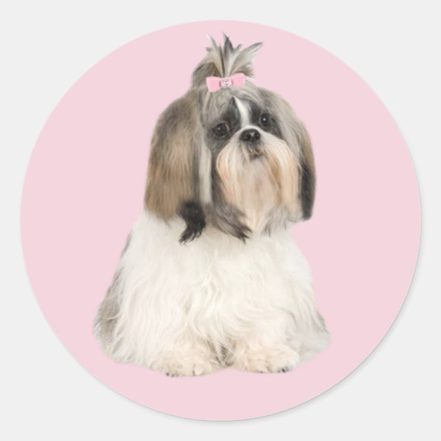 Sticker Shih Tzu (Devant)