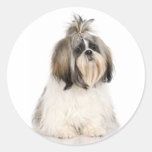 Sticker Shih Tzu