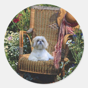 Sticker Shih Tzu Garden