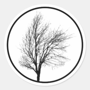 Sticker Silhouette Arbre Nu