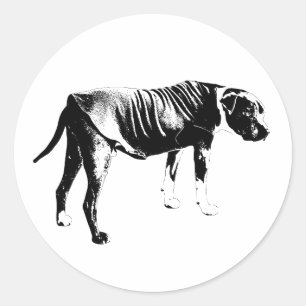 Sticker Silhouette, Bright Edge