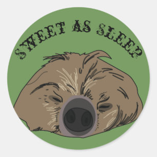 Sticker Sloth Art