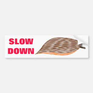 Sticker Slug Down Slow