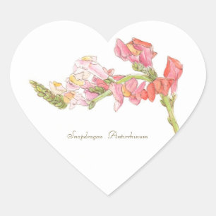 Sticker Snapdragon